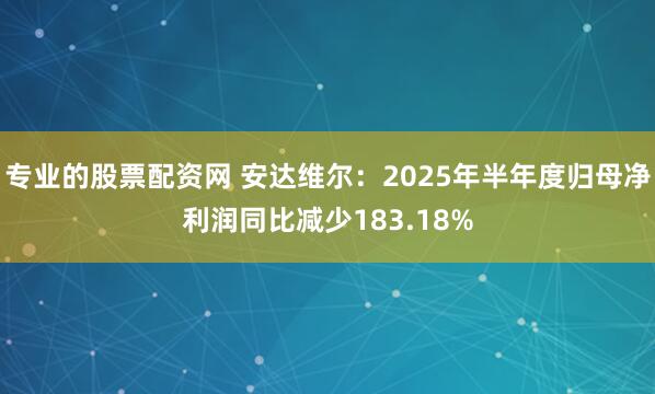 专业的股票配资网 安达维尔：2025年半年度归母净利润同比减少183.18%
